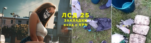 прущие грибы Арсеньев