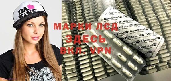 прущие грибы Арсеньев