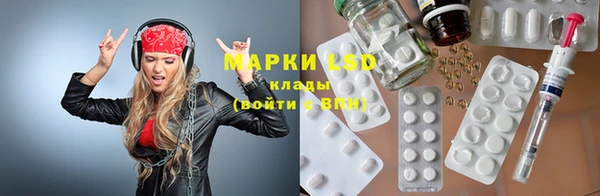 spice Аркадак