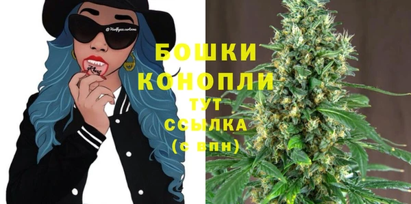прущие грибы Арсеньев
