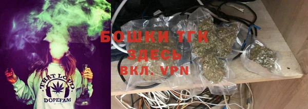 spice Аркадак