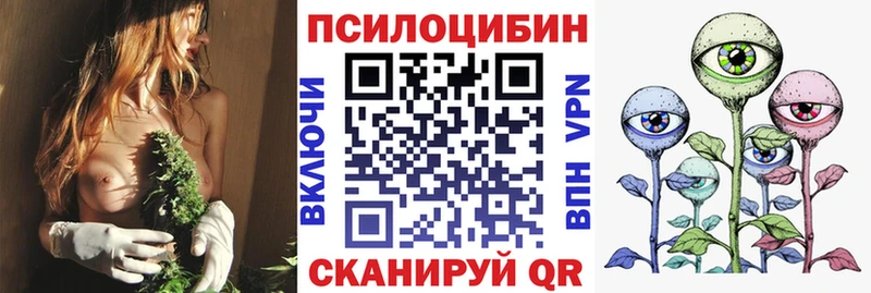 Псилоцибиновые грибы Cubensis где купить наркоту Тетюши